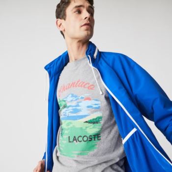 Lacoste Crew Neck Landscape Print Pamut T-shirt Szürke Piros | ngLjNNw8