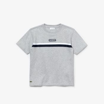 Lacoste Crew Neck Two-Tone Band Pamut T-shirt Szürke Fehér Sötétkék Kék | Rllbiw3I