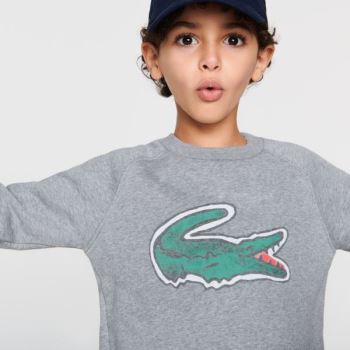 Lacoste Crocodile Graphic Fleece Sweatshirt Szürke | 9UmCTr5r