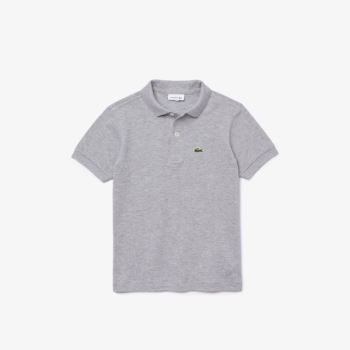 Lacoste Petit Piqué Polo Szürke | y42XyWRF