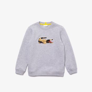 Lacoste x National Geographic Fleece Sweatshirt Szürke Fehér | Th0LTBEC