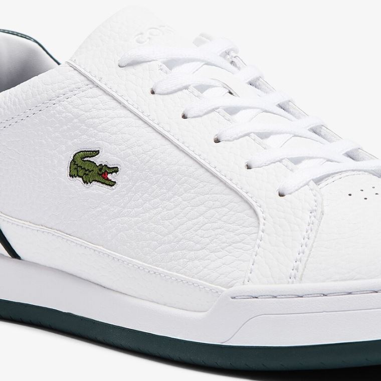 Lacoste Challenge Bőr Sneakers Fehér | hgbC0ycl