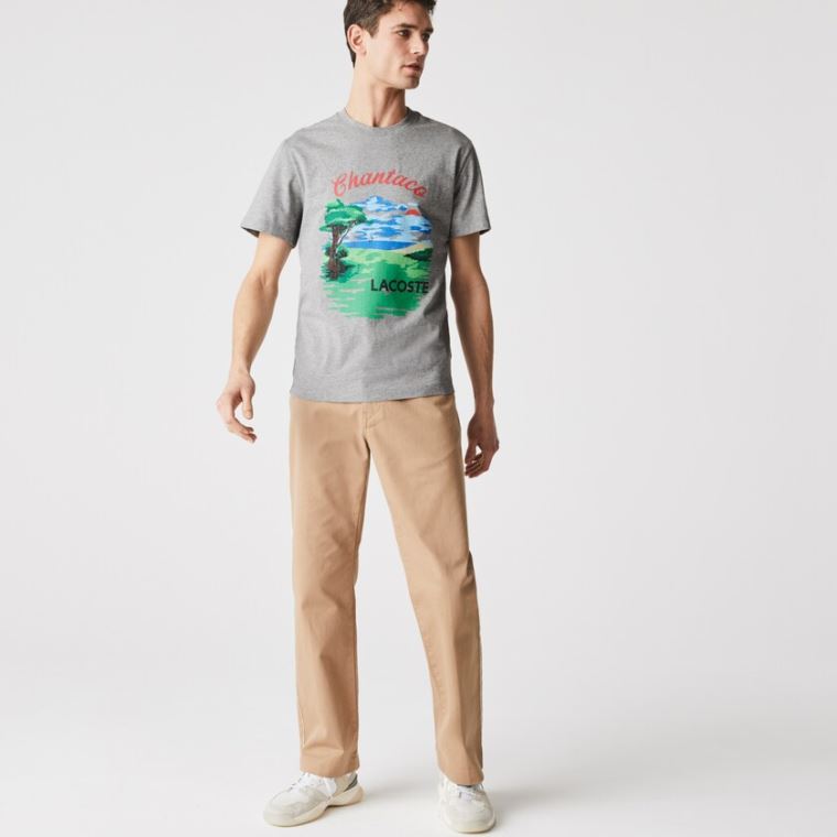 Lacoste Crew Neck Landscape Print Pamut T-shirt Szürke Piros | ngLjNNw8