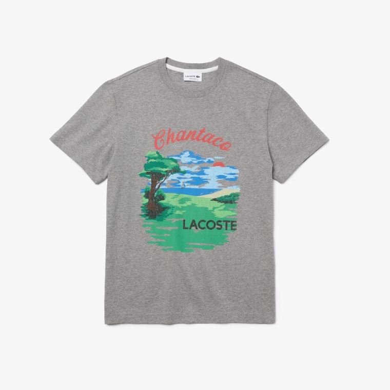 Lacoste Crew Neck Landscape Print Pamut T-shirt Szürke Piros | ngLjNNw8