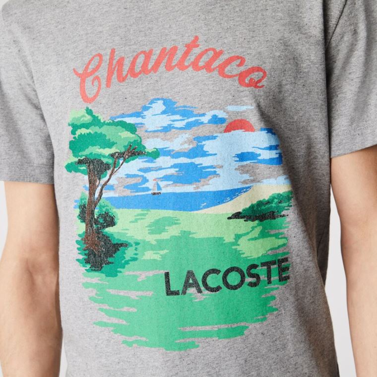 Lacoste Crew Neck Landscape Print Pamut T-shirt Szürke Piros | ngLjNNw8