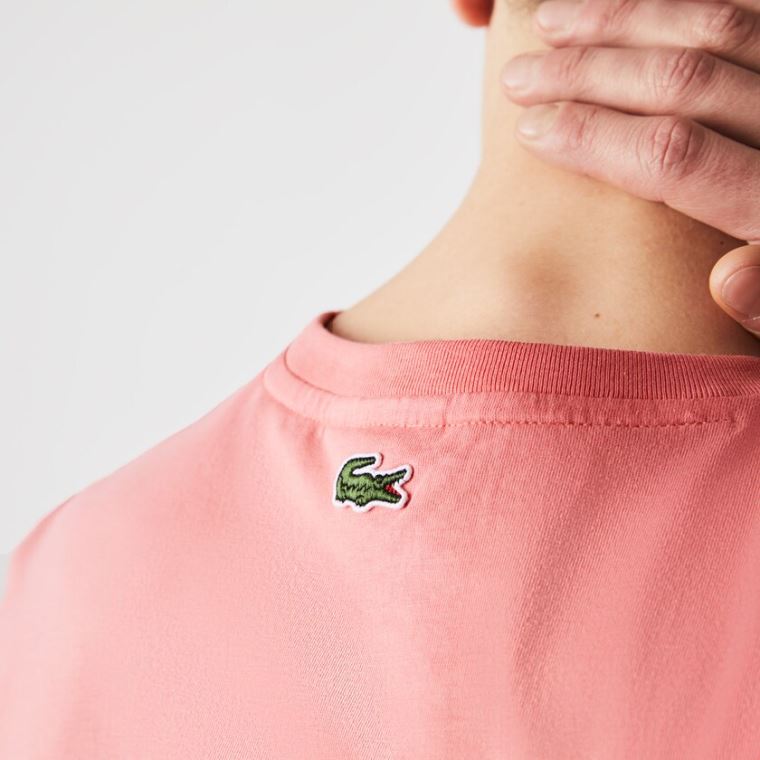 Lacoste Crocodile-Embroidery Pamut T-shirt Rózsaszín | Vb5EL0ns