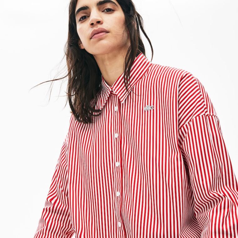 Lacoste LIVE Boxy-Fit Striped Pamut Shirt Fehér Piros | hb3X6Lsd