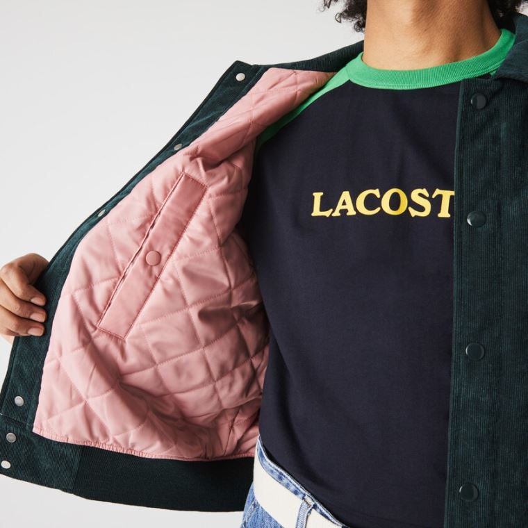 Lacoste LIVE Ribbed Velvet Bomber Jacket Sötétzöld | M0UvAyuN