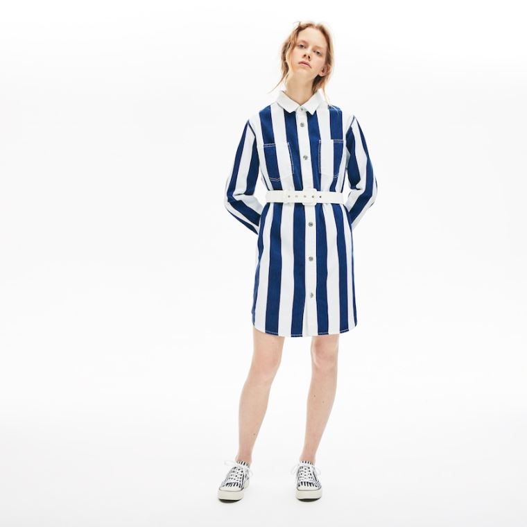 Lacoste LIVE Striped Pamut Shirtdress Fehér Sötétkék Kék | dJ58As2A