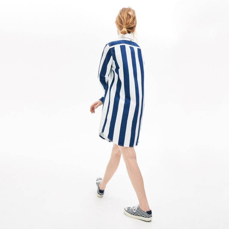 Lacoste LIVE Striped Pamut Shirtdress Fehér Sötétkék Kék | dJ58As2A