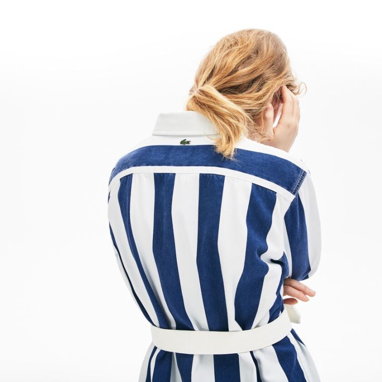 Lacoste LIVE Striped Pamut Shirtdress Fehér Sötétkék Kék | dJ58As2A