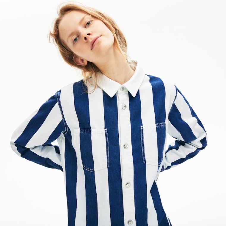 Lacoste LIVE Striped Pamut Shirtdress Fehér Sötétkék Kék | dJ58As2A