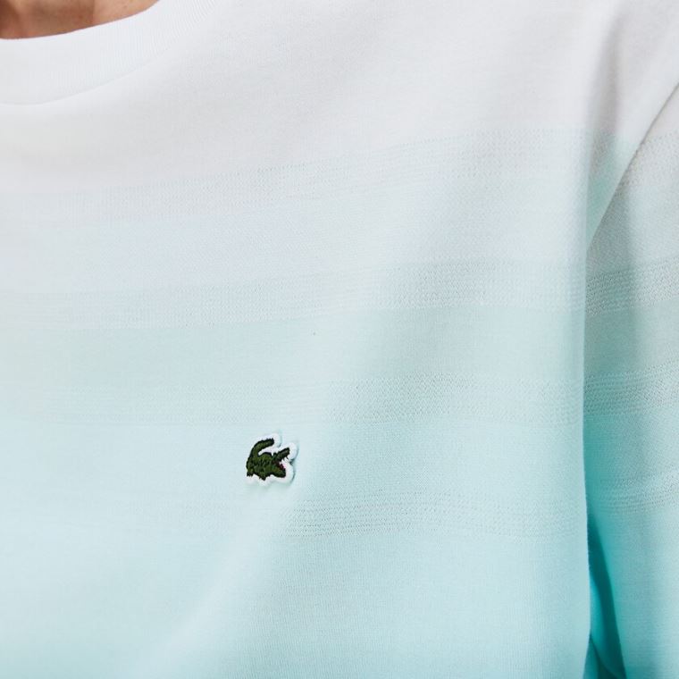 Lacoste Made in France Crew Neck Organic Pamut T-shirt Türkiz Világos Zöld Fehér | dihsaGXj