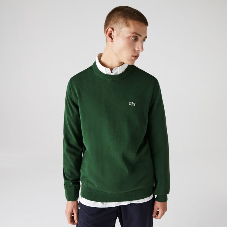 Lacoste Organic Pamut Crew Neck Pulóver Zöld | Mxqn0ZHa