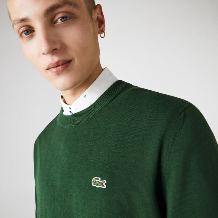 Lacoste Organic Pamut Crew Neck Pulóver Zöld | Mxqn0ZHa