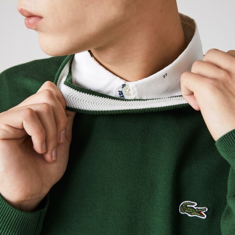 Lacoste Organic Pamut Crew Neck Pulóver Zöld | Mxqn0ZHa