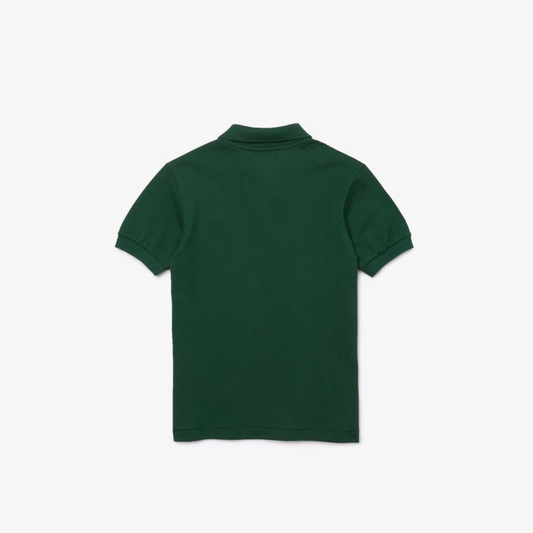 Lacoste Petit Piqué Polo Zöld | VEx1BTxU