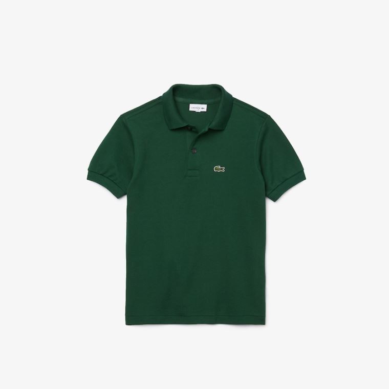 Lacoste Petit Piqué Polo Zöld | VEx1BTxU