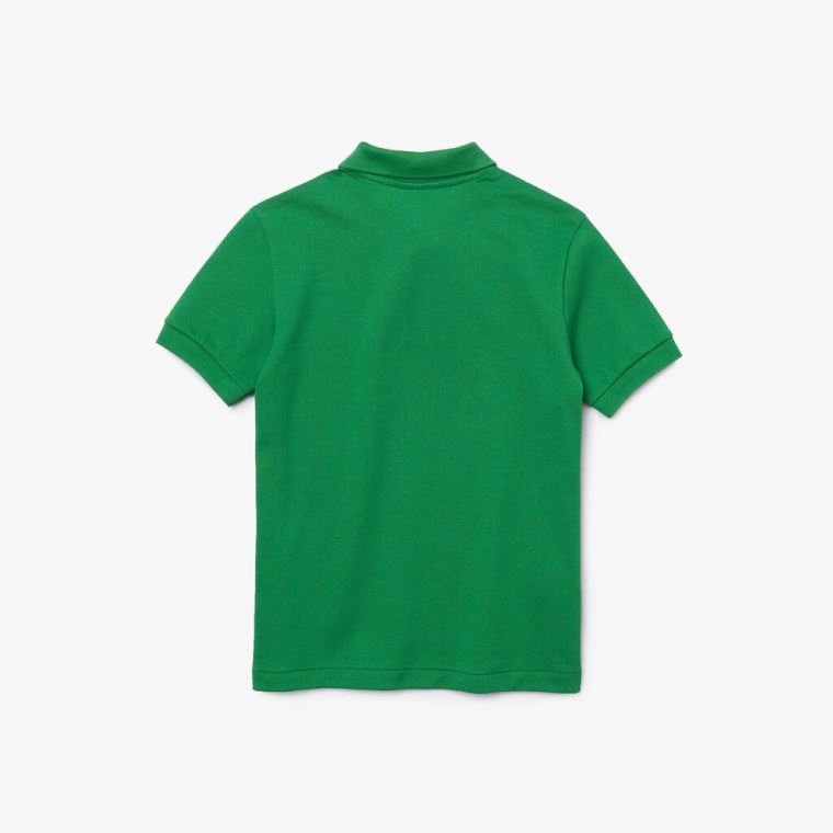 Lacoste Petit Piqué Polo Zöld | l5aHwcBX