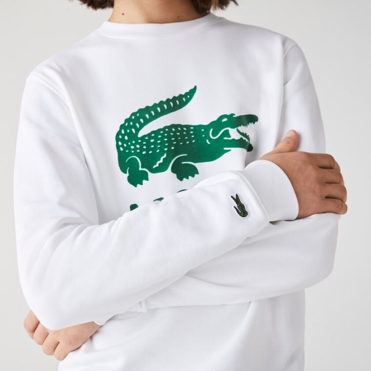 Lacoste Printed Logo Fleece Crew Neck Sweatshirt Fehér | 9w4M00oU