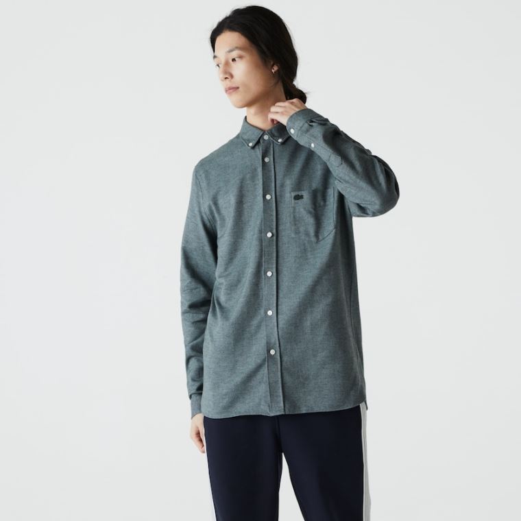 Lacoste Regular Fit Brushed Effect Pamut Shirt Zöld Kék | LgOdwZqh