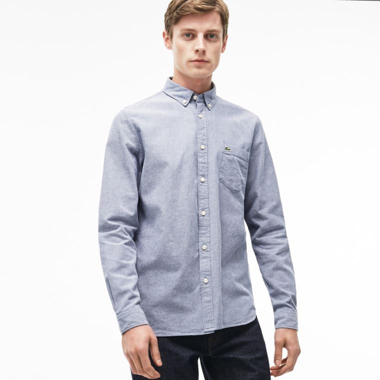 Lacoste Regular Fit Oxford Pamut Shirt Sötétkék Kék Fehér | TFO5Bx0E