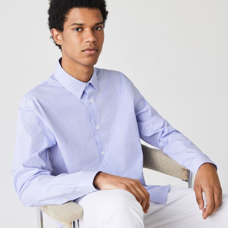 Lacoste Regular Fit Striped Pamut Poplin Shirt Fehér Kék | xkNPpvtz