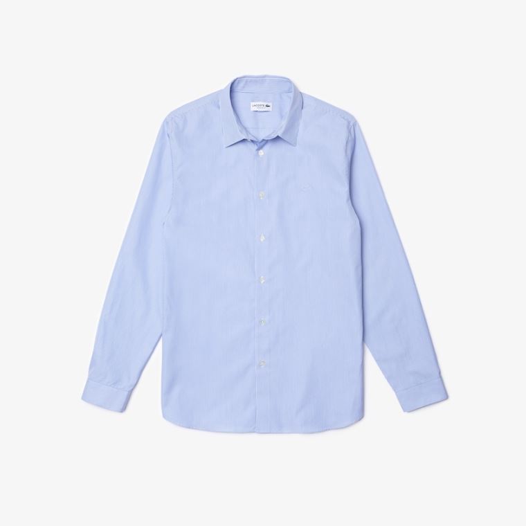 Lacoste Regular Fit Striped Pamut Poplin Shirt Fehér Kék | xkNPpvtz