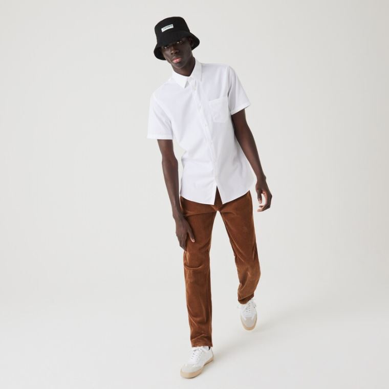 Lacoste Regular Fit Textured Pamut Poplin Shirt Fehér | fwfgFeIn