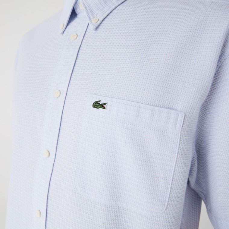 Lacoste Rövid-Sleeved Könnyű Pamut Shirt Világos Kék Fehér | wAfOEOW7