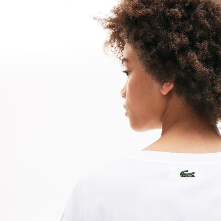 Lacoste Signature Printed Crew Neck Pamut T-shirt Fehér Sötétkék Kék | yRzsSw8z