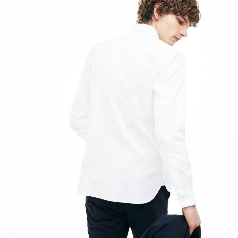 Lacoste Slim Fit Stretch Pamut Pinpoint Shirt Fehér | gSaTfX6E