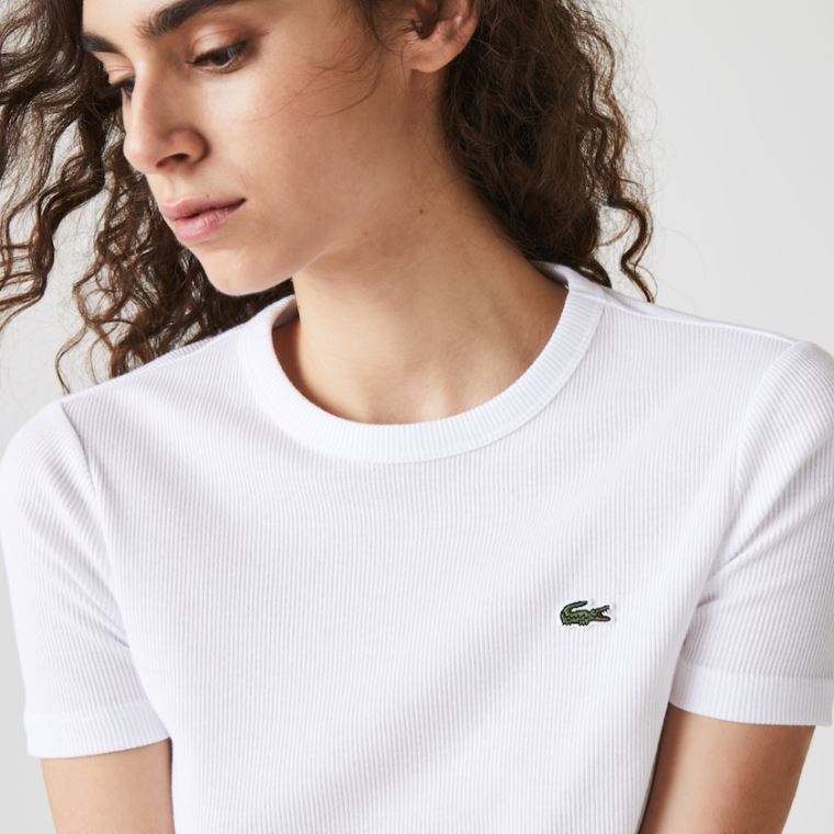 Lacoste Soft Pamut Crew Neck T-shirt Fehér | QfxPNjLa