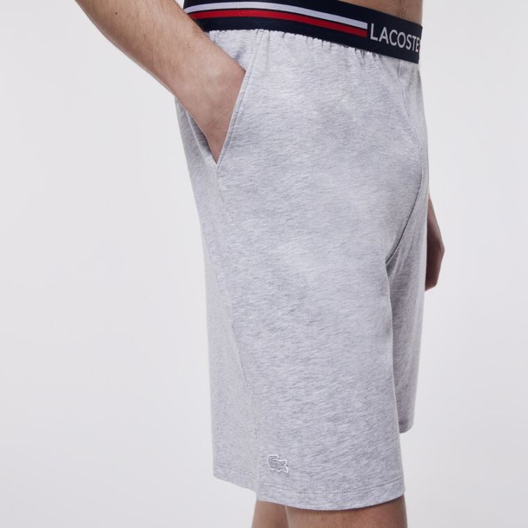 Lacoste Striped-Derekú Long Boxer Briefs Szürke | 9adj1lCM