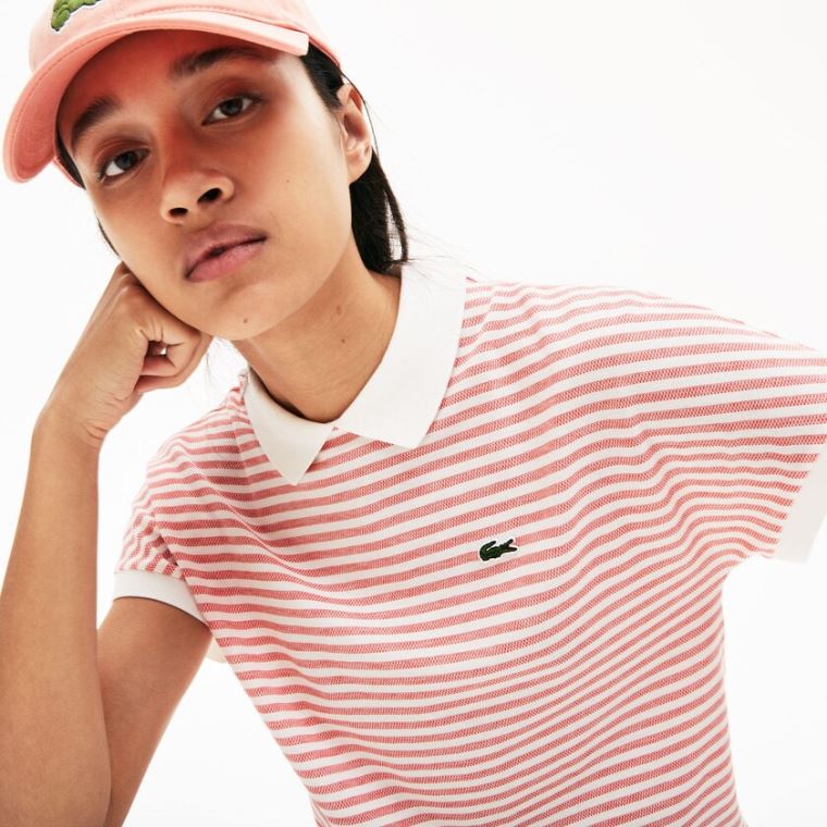 Lacoste Striped Polo Piros Fehér | j9Tz8d6j