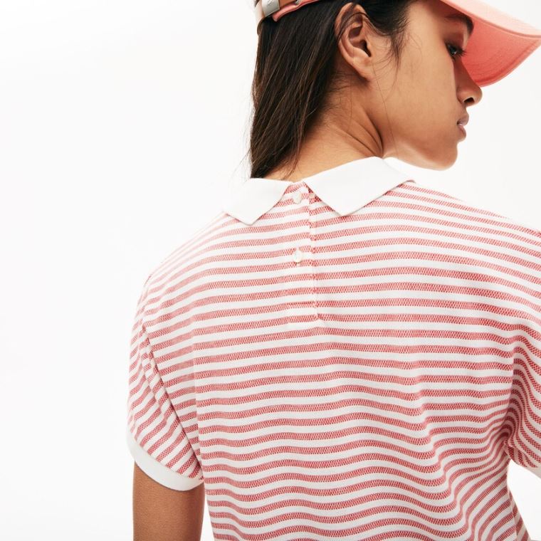 Lacoste Striped Polo Piros Fehér | j9Tz8d6j