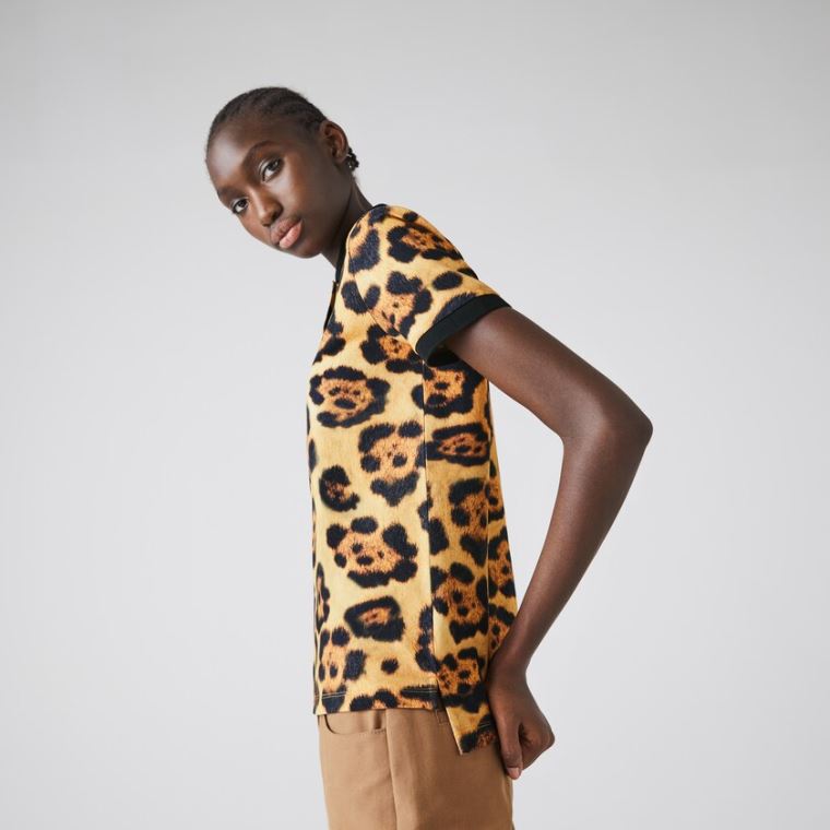 Lacoste x National Geographic Animal Print Piqué Polo Shirt Fehér | CiyDcsEG