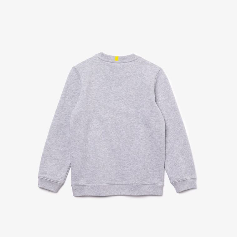 Lacoste x National Geographic Fleece Sweatshirt Szürke Fehér | Th0LTBEC