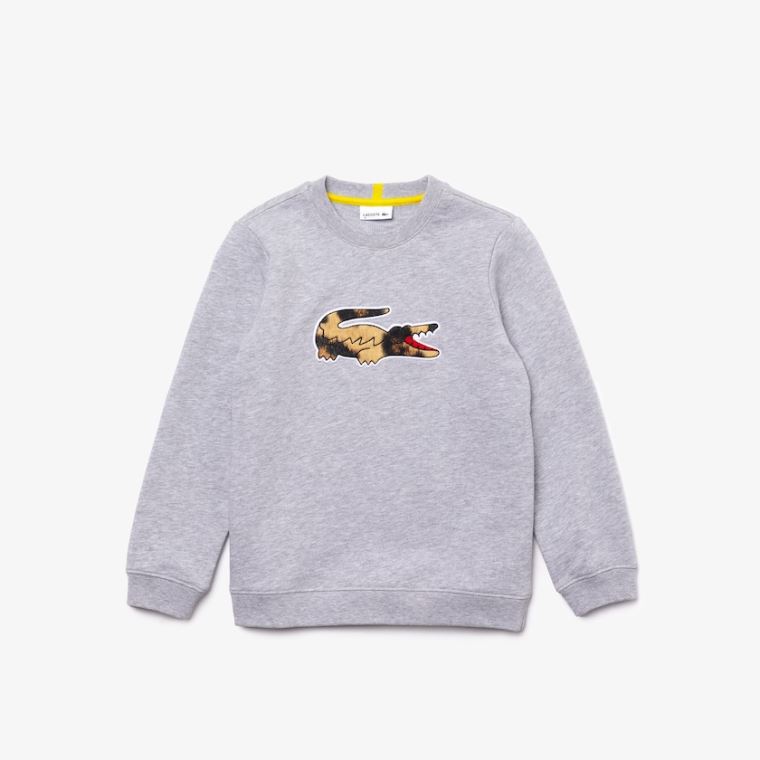 Lacoste x National Geographic Fleece Sweatshirt Szürke Fehér | Th0LTBEC