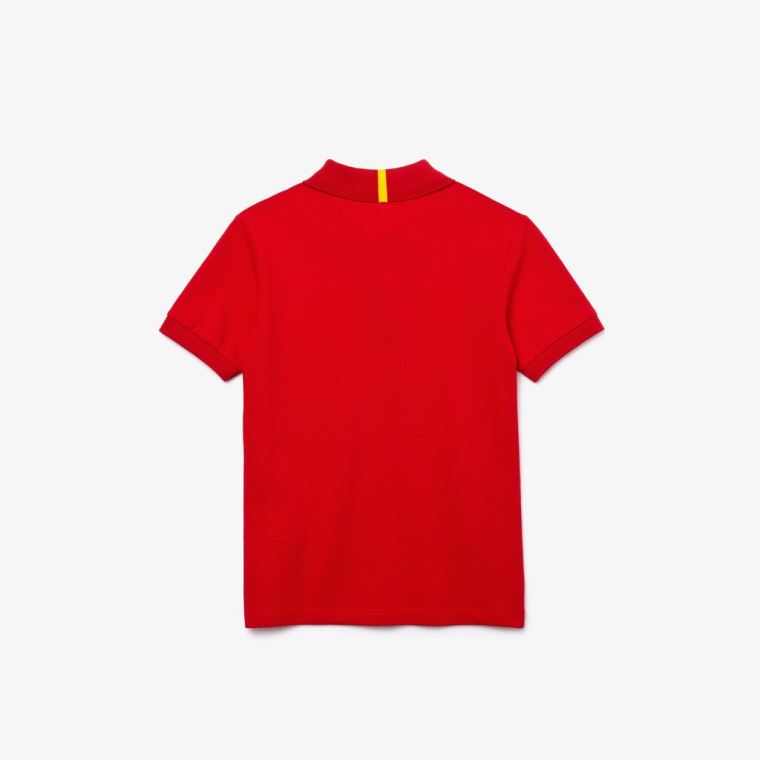 Lacoste x National Geographic Pamut Piqué Polo Shirt Piros Fehér | QQS8TdVC