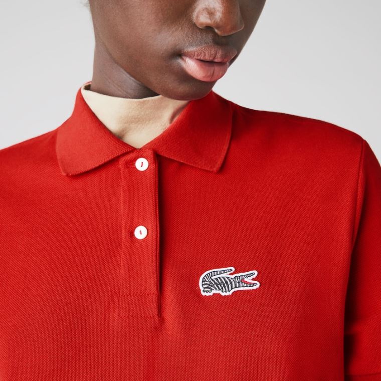 Lacoste x National Geographic Pamut Piqué Polo Shirt Ruha Piros Fehér | aRVuzMeh