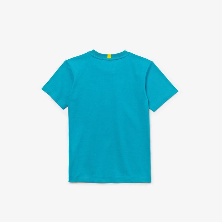 Lacoste x National Geographic Pamut T-shirt Kék Fehér | S2uzvUI9