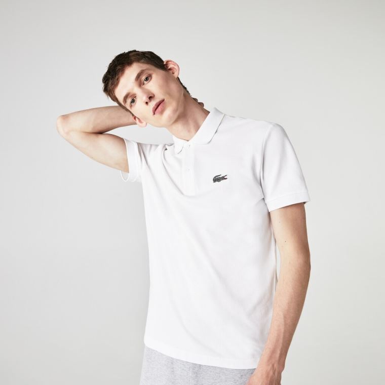 Lacoste x National Geographic Regular Fit Organic Pamut Polo Shirt Fehér | 7kjXpCNY