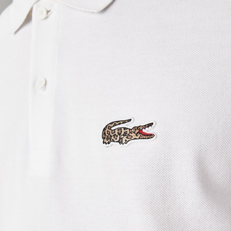 Lacoste x National Geographic Regular Fit Organic Pamut Polo Shirt Fehér | 7y41GZHF