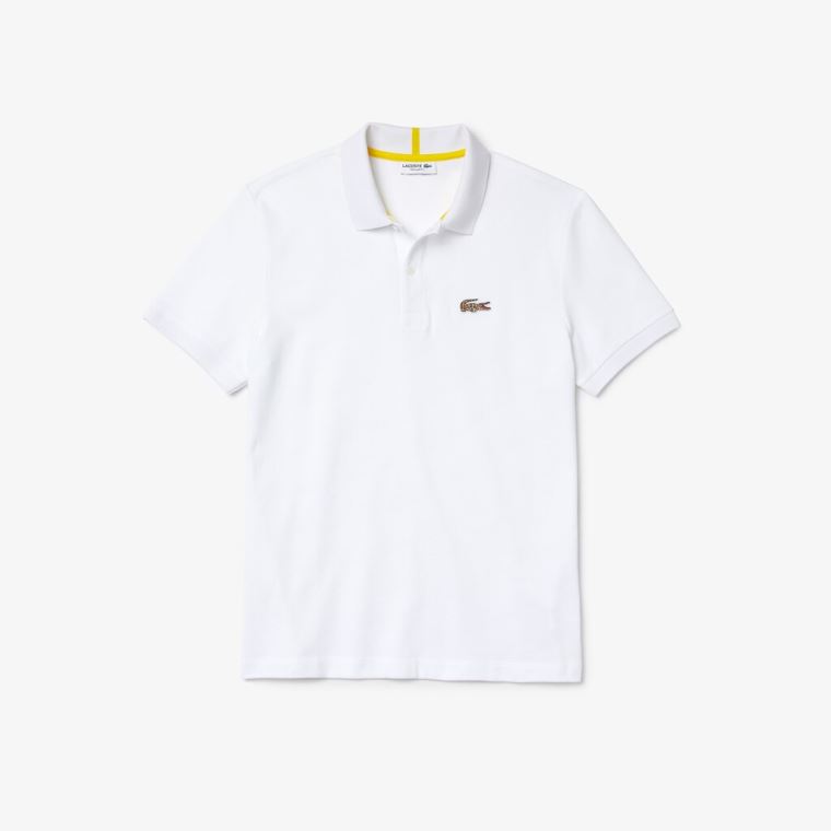 Lacoste x National Geographic Regular Fit Organic Pamut Polo Shirt Fehér | 7y41GZHF