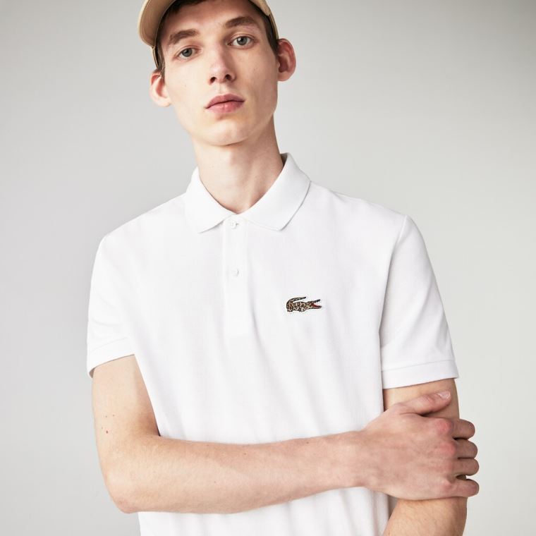 Lacoste x National Geographic Regular Fit Organic Pamut Polo Shirt Fehér | 7y41GZHF