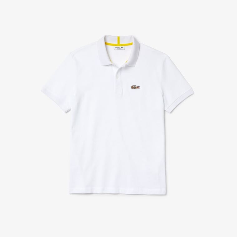 Lacoste x National Geographic Regular Fit Organic Pamut Polo Shirt Fehér | KZXaYcfR