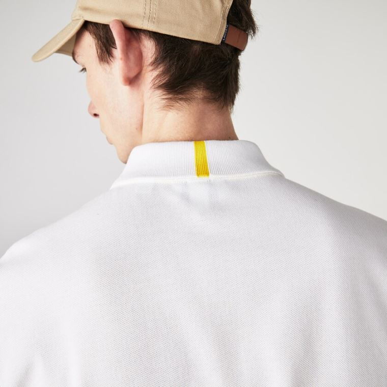 Lacoste x National Geographic Regular Fit Organic Pamut Polo Shirt Fehér | KZXaYcfR