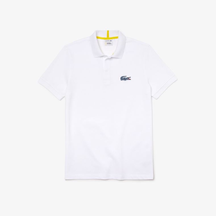 Lacoste x National Geographic Regular Fit Organic Pamut Polo Shirt Fehér | aEzvstGs