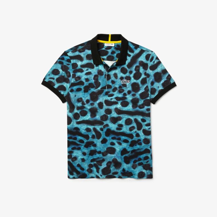 Lacoste x National Geographic Regular Fit Print Pamut Polo Shirt Zöld Fehér | eTC3GxZ6